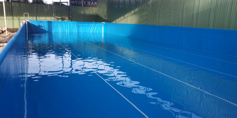 báo giá sửa chữa hồ bơi tại long thành